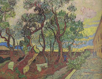 Vincent Van Gogh The Garden of Saint-Paul Hospital (nn04) oil painting picture